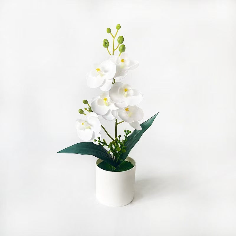 Elegante künstliche Orchideenpflanzenanordnung für die Innenausstellung