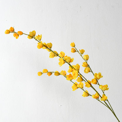 Dekorative florale Erbsenblütenstielanordnung