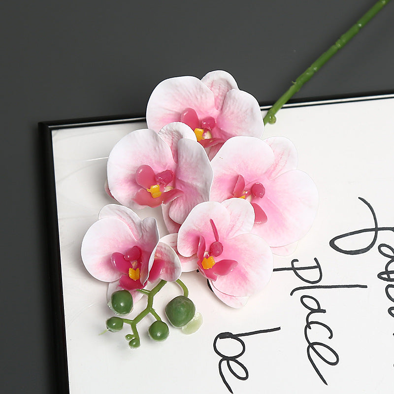 Lebensechter Orchideenblütenstiel