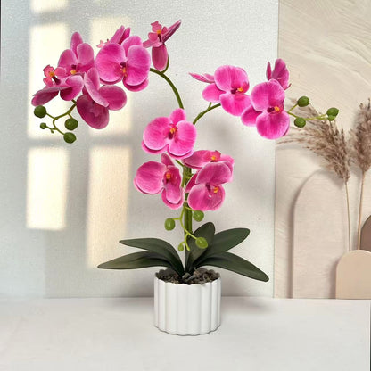 Realistische Künstliche Orchideenblumenanordnung für die Wohnkultur
