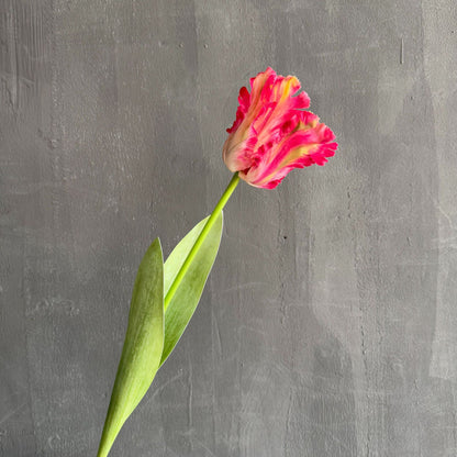 Lebensechter floral Accents