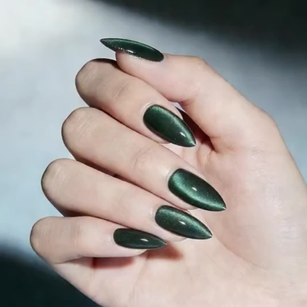 Nagelverstärker Brehn
