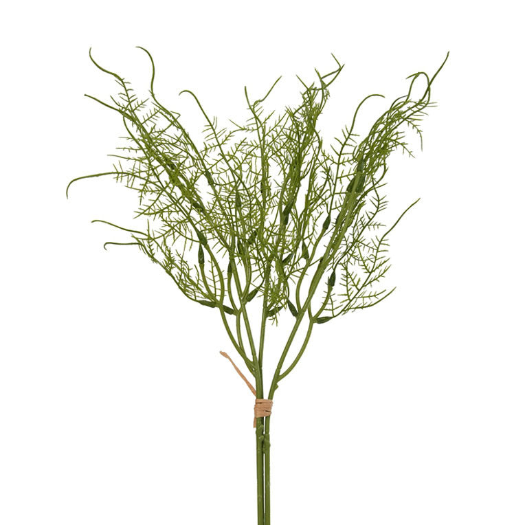Dekorative Grünpflanze Stängel