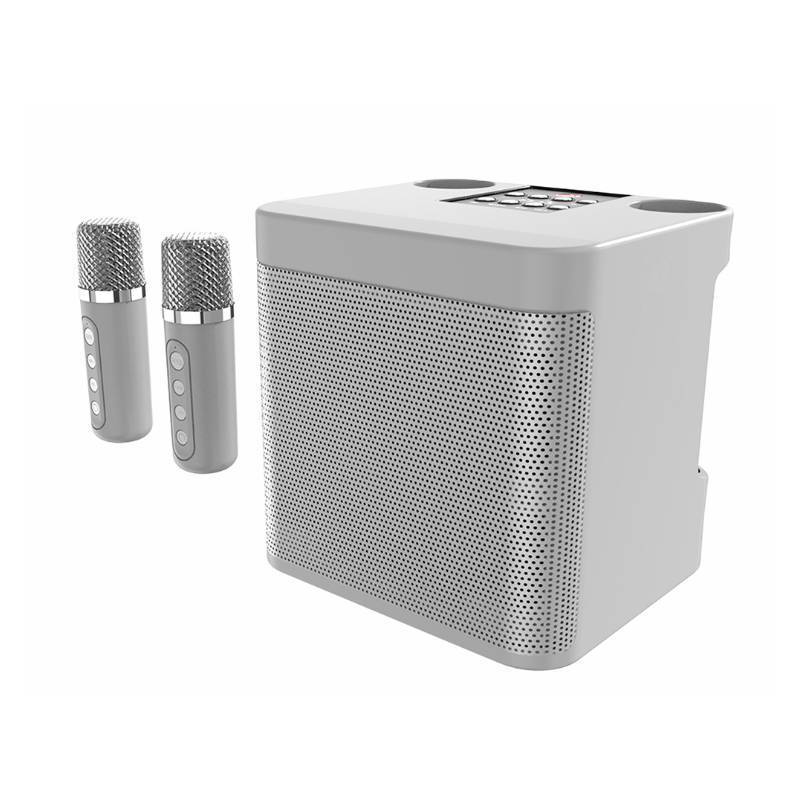 Portables Karaoke-Soundsystem Brehn