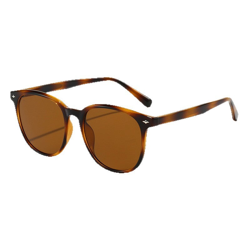 Damen modische Sonnenbrille im eleganten Formdesign Brehn