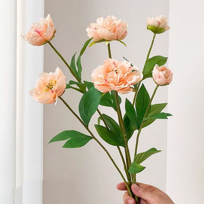 Realistische Pfingstrose Blumenstiel