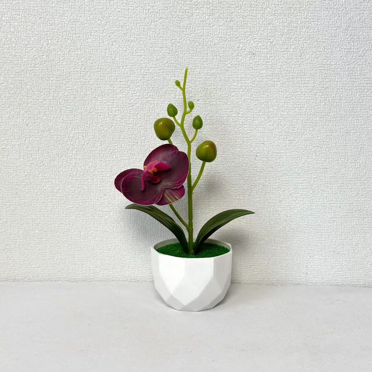 Orchideenpflanzenarrangement