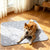 Pet Comfort Hundematte