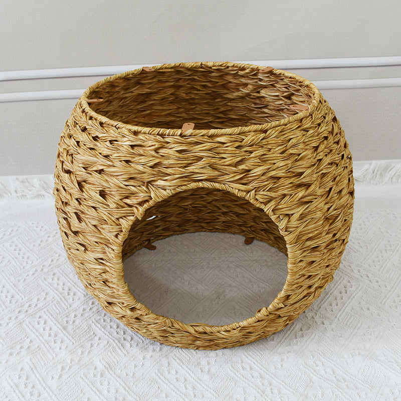 Pet Cave Brehn