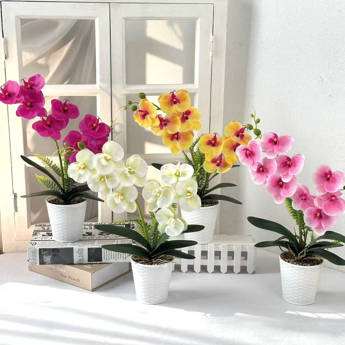 Dekorative Orchideenpflanze für die Inneneinrichtung