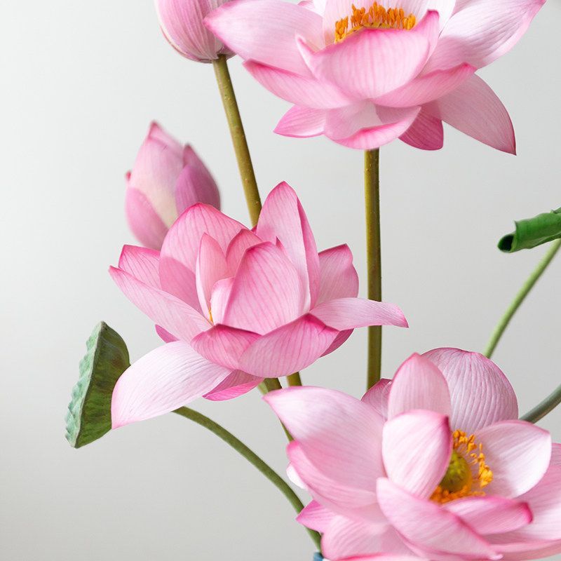 Realistische Lotusblumenarrangement