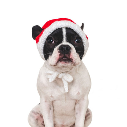 Lustige Weihnachtsmütze für Haustiere