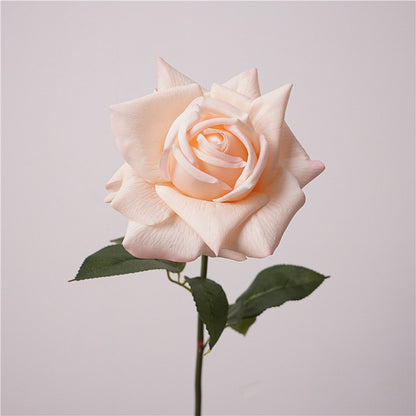 Lebensnahe Gartenrose Stiel