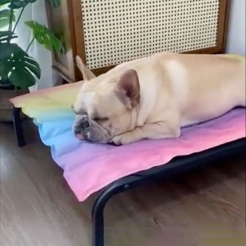 IcePup Frenchie Sommer Kühlmatte mit fortschrittlicher Eis-Technologie | Brehn