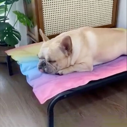 IcePup Frenchie Sommer Kühlmatte mit fortschrittlicher Eis-Technologie | Brehn