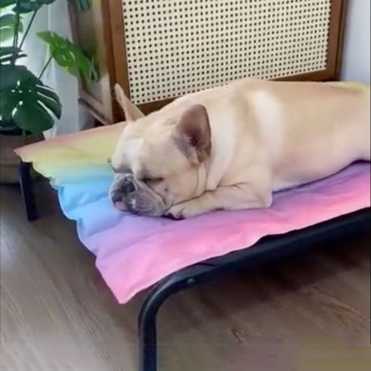 IcePup Frenchie Sommer Kühlmatte mit fortschrittlicher Eis-Technologie | Brehn