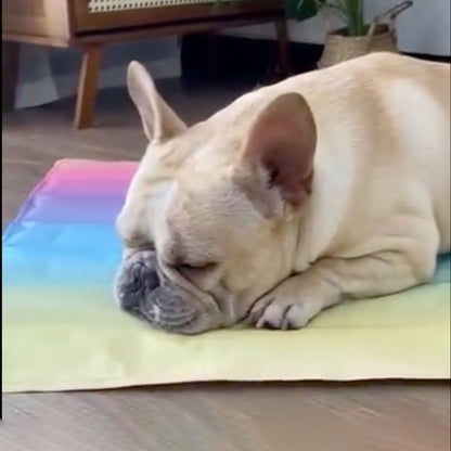 IcePup Frenchie Sommer Kühlmatte mit fortschrittlicher Eis-Technologie | Brehn