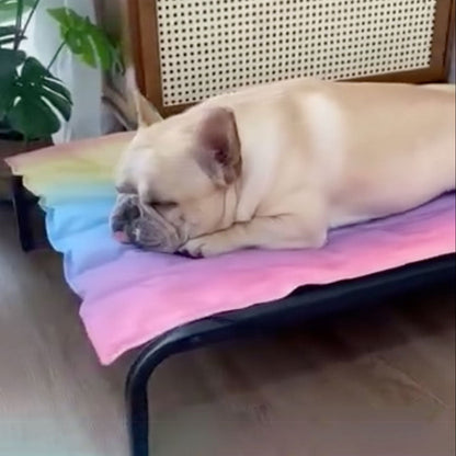 IcePup Frenchie Sommer Kühlmatte mit fortschrittlicher Eis-Technologie | Brehn
