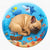 PawTide-Cooling-Water-Bed-for-French-Bulldogs.jpg