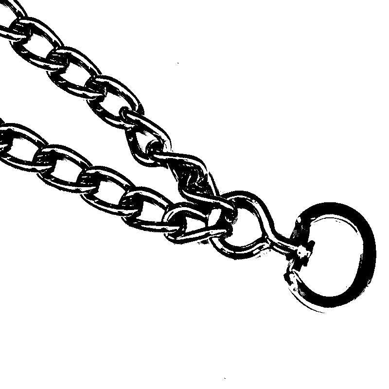 Pinch-Kragen für Hunde | Brehn