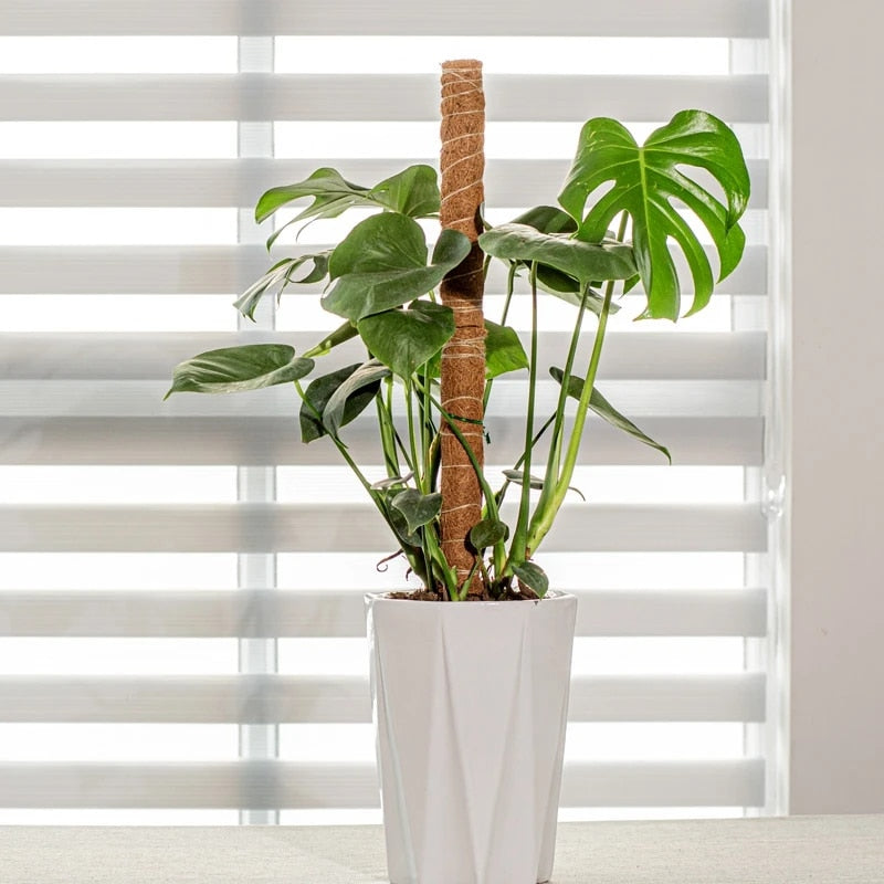 PlantSupport | Brehn