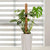 PlantSupport | Brehn