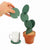 Potted Cactus Untersetzer | Brehn