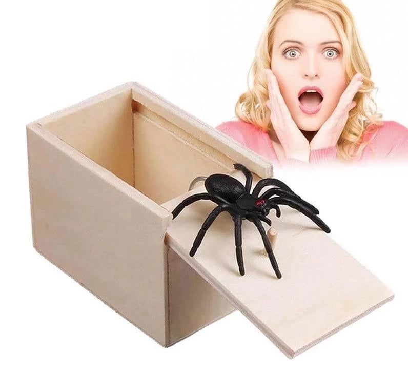 Spider Prank Box | Brehn