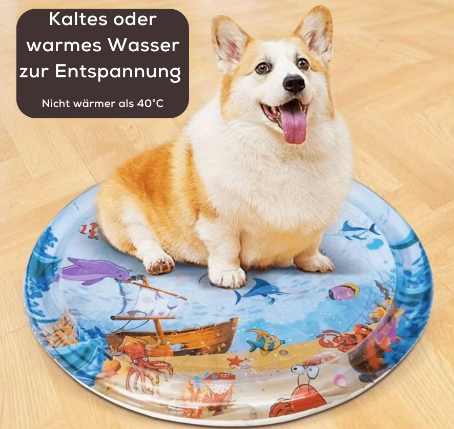Brehn | WhiskerMat Wohlfühlspiel