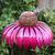 Brehn | Vogelfutterspender Metall Blumen Garten Ornament