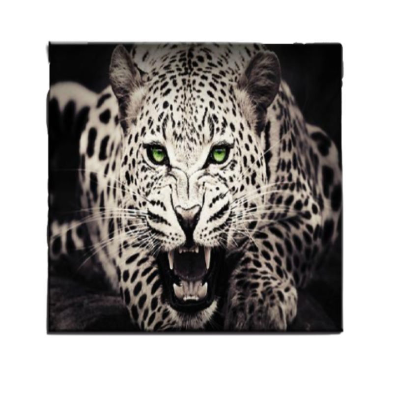 Feroz grüneräugiger Leopard - Leinwand Wandbild Malerei