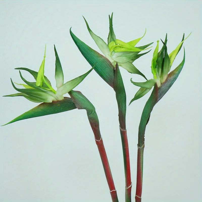 Brehn | Floriva 3-teiliges Set Künstliche Strelitzien | Paradiesvogelblumen | 24,5 cm Lange Stiele | Dekoration für Zuhause, Büro & Veranstaltungen