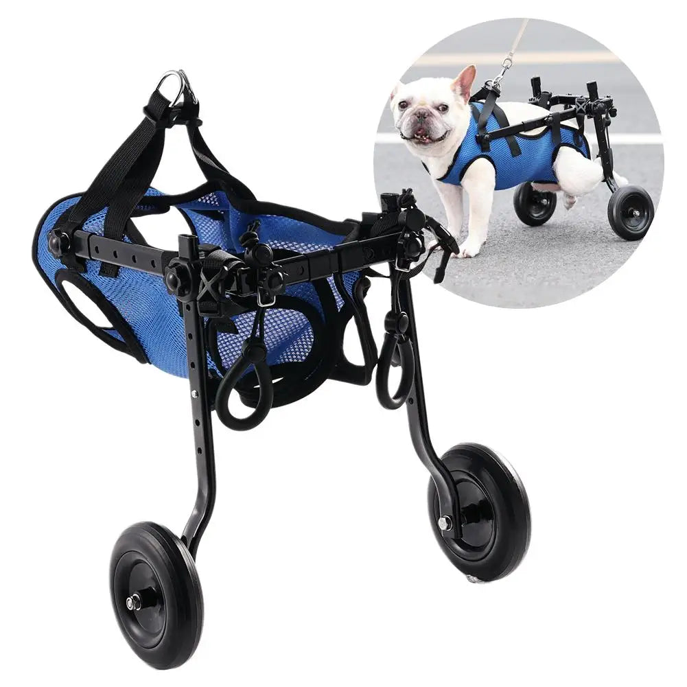Brehn | Vetalino Hunderollstuhl für kleine Hunde | Verstellbarer Reha-Wagen | Leicht & Stabil | Mobilitätshilfe bei Gehproblemen