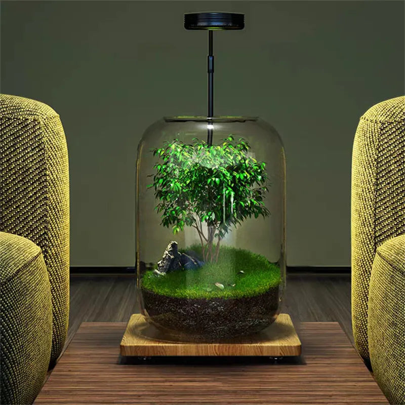 Micro Landschaft Grüner Oase Glasvasen | Brehn