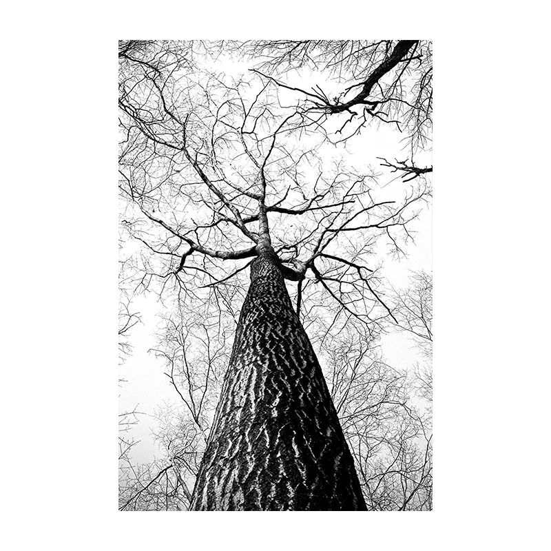 Nordische Wildnis Adler Reh Landschaft Wandkunst Fein Kunst Leinwanddrucke Bilder Für Wohnzimmer Esszimmer Nordische Heimdekoration | Brehn