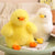 Brehn | Chubby Duck Soft Cuddle Pillow