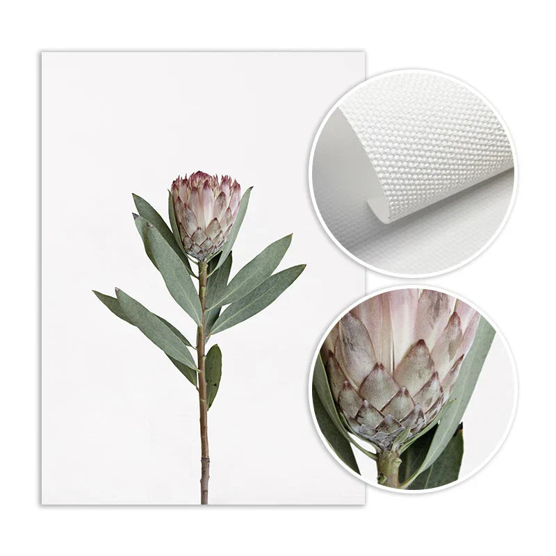 Minimalistische Pinke Florale Botanische Wandkunst Feine Kunstleinwanddrucke Posten Elegante Bilder Für Nordic Wohnzimmer Esszimmer Schlafzimmer Kunst Dekor | Brehn