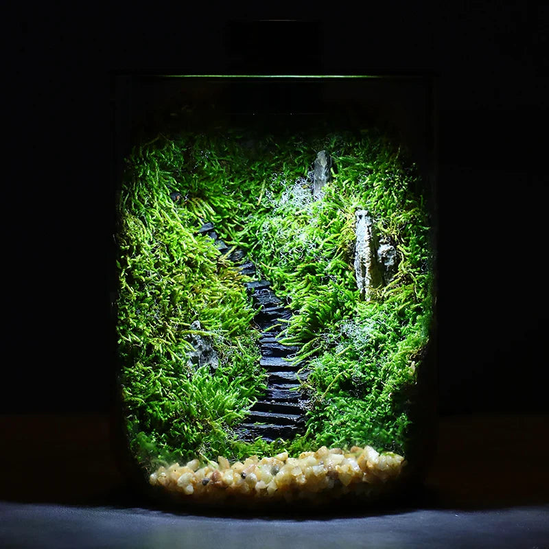 Brehn | Mini Forest Maker Terrarium Dekovase