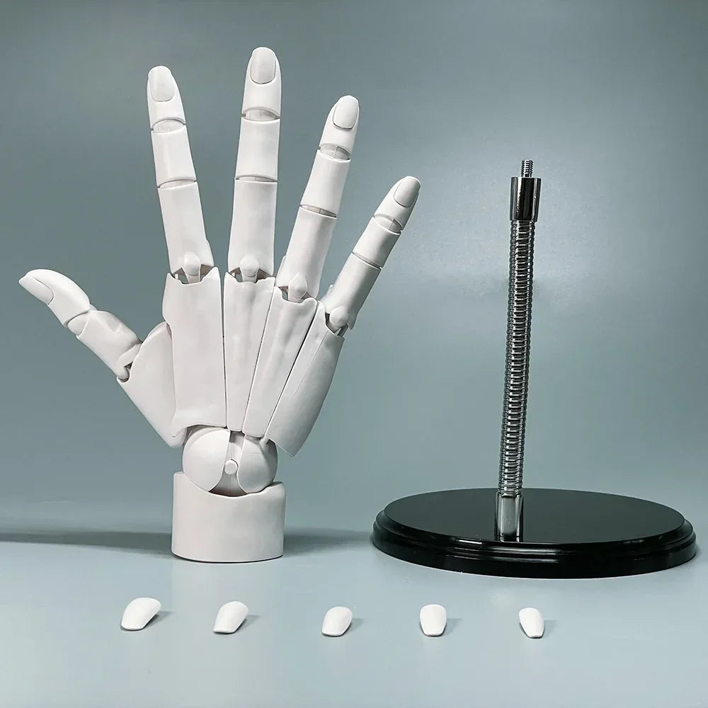 Multi-Pose Zeichen Skulptur Kunst Hand Modell | Brehn