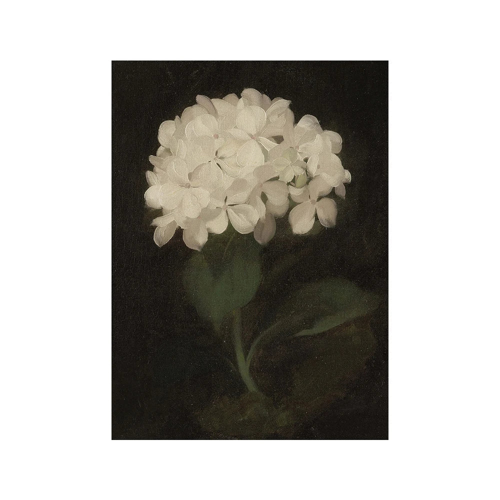 Vintage Vogue Galerie Wandkunst Landschaften Portrait Floral Abstrakt Portrait Skizze Fine Art Leinwanddrucke Bilder für das Wohnzimmer | Brehn