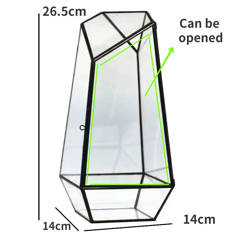 Moderner geometrischer, von der Natur inspirierter botanischer Terrarium