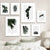 Minimalistische grüne Blätter moderne botanische Exemplare Wandkunst Fine Art Leinwanddrucke Galerie Wandbilder für Wohnzimmer Esszimmer Kunstdeko | Brehn