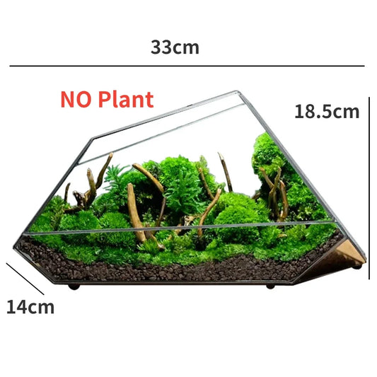 Geometrischer Glasmoos-Planter-Terrarium-Vase | Brehn