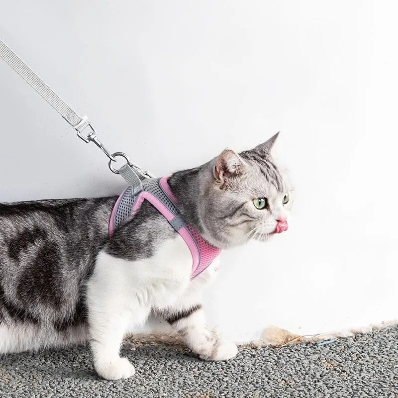 Abenteuerliches Katzengeschirr mit Leine – Verstellbar und Reflektierend | Brehn