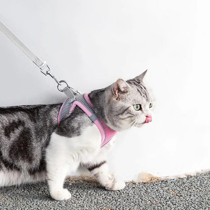 Abenteuerliches Katzengeschirr mit Leine – Verstellbar und Reflektierend | Brehn