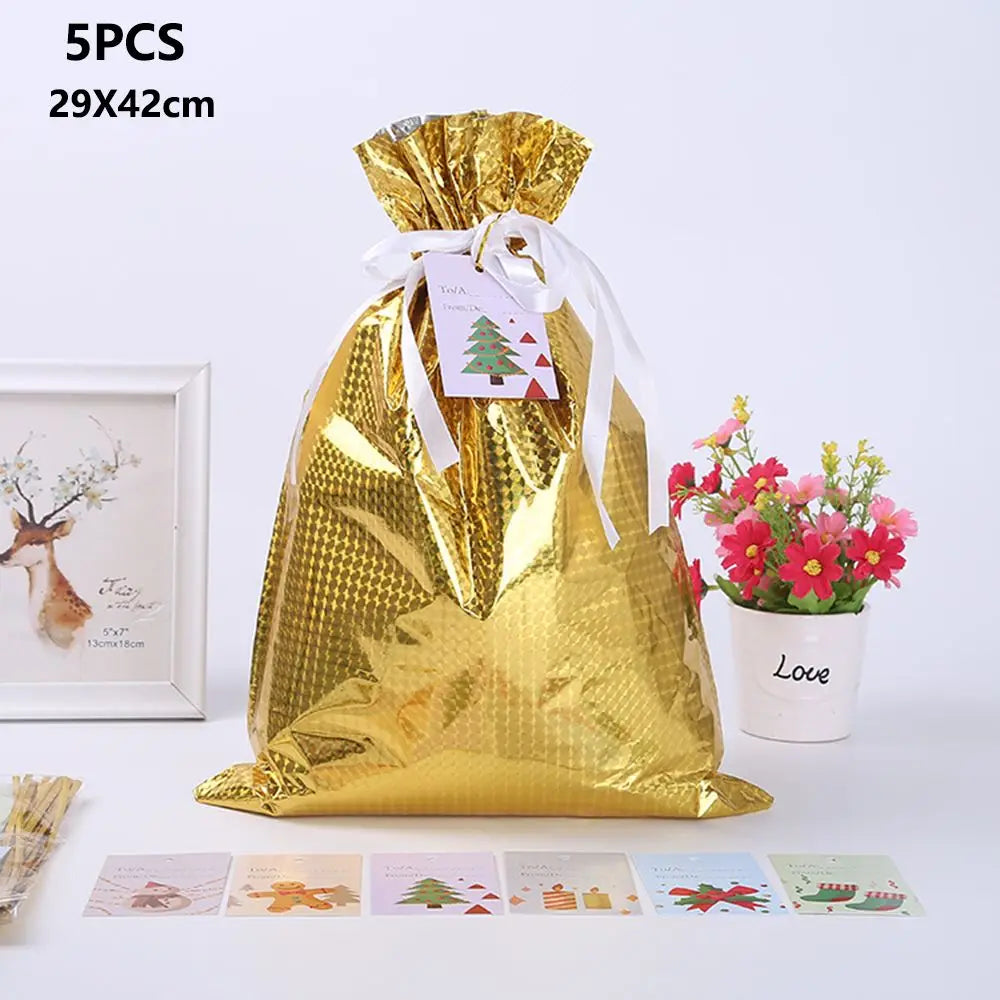 5 Geschenktüten mit Kordelzug