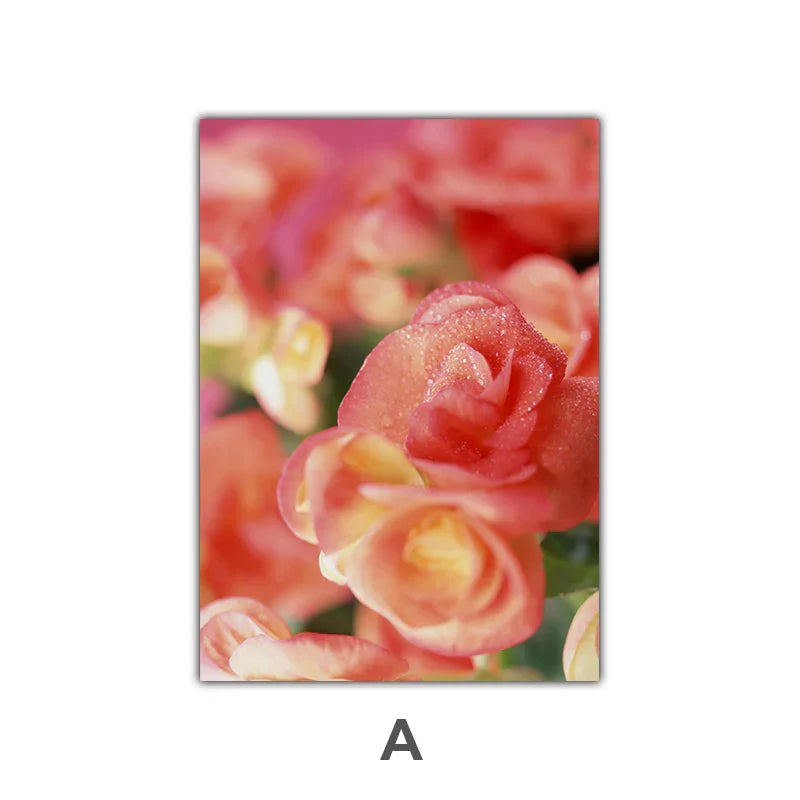 Rosa rote Rosen florale Wandkunst Feine Kunst Leinwanddrucke Moderne botanische Poster Bilder für Wohnzimmer, Schlafzimmer Kunst Dekor | Brehn