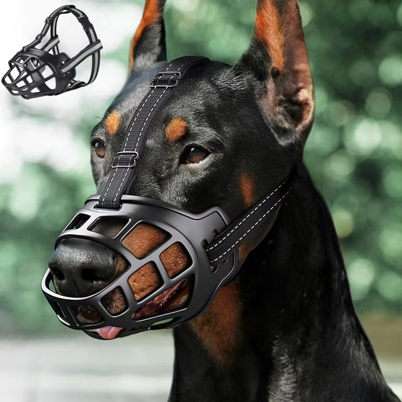 GuardPaw — Endlich sorgenfrei und sicher jede Gassi-Runde genießen | Brehn