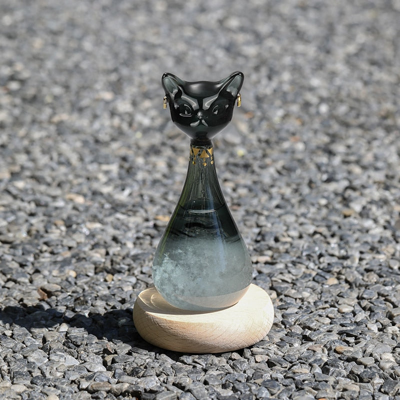 Kat-inspirierte Wettervorhersage-Flasche