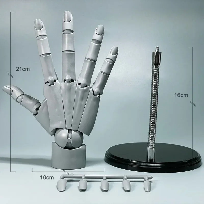 Multi-Pose Zeichnen Modellieren Kunst Handmodell